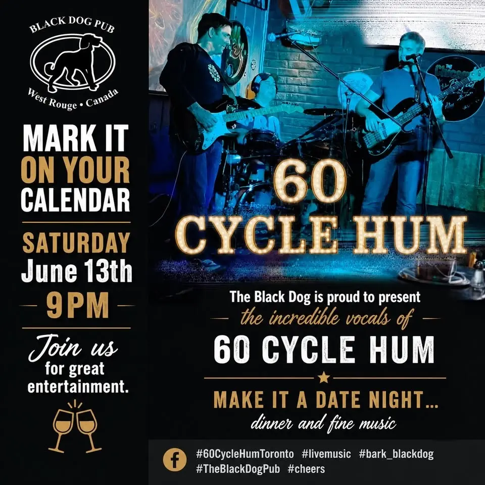 Live at the Black Dog 60 Cycle Hum