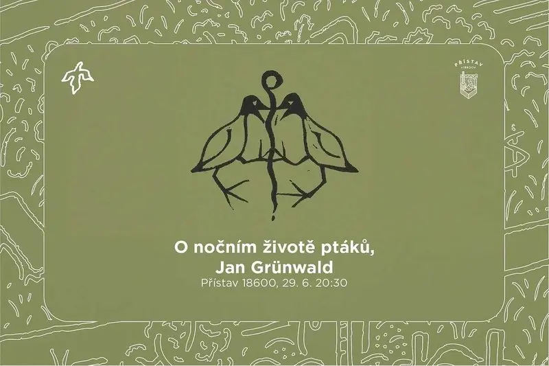 O nočním životě ptáků s Janem Grünwaldem