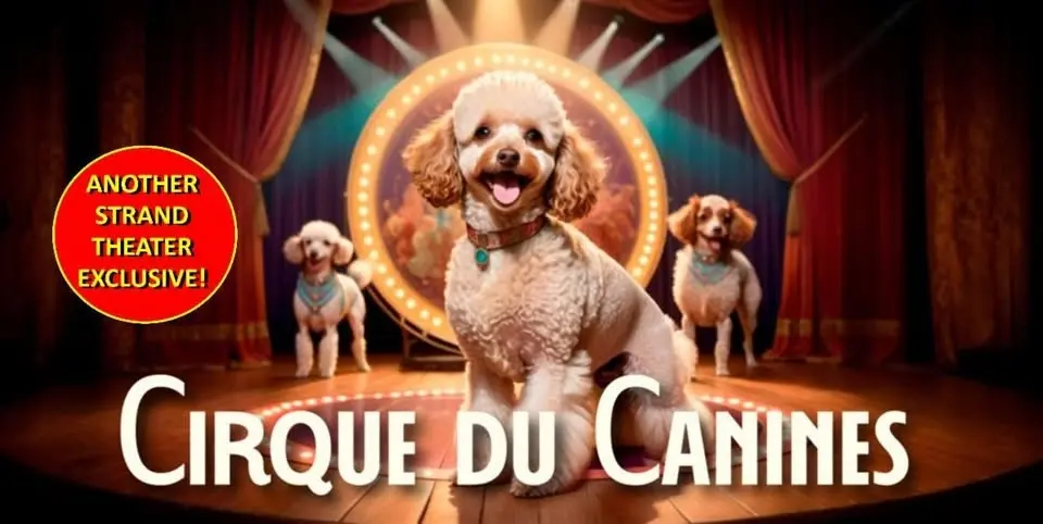Cirque Du Canines