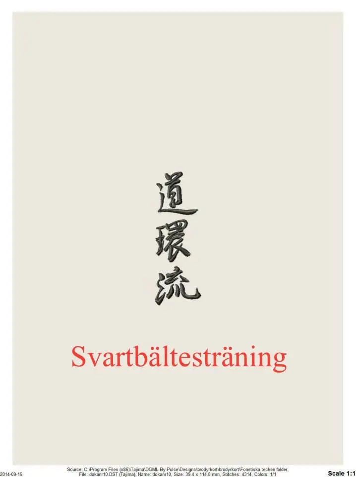 Svartbältesträning Yudanshakai