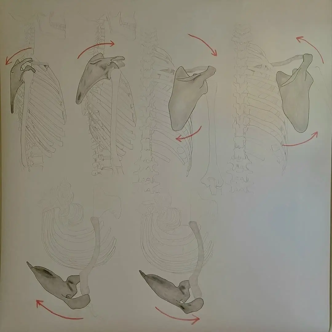 Large-format drawings exhibition