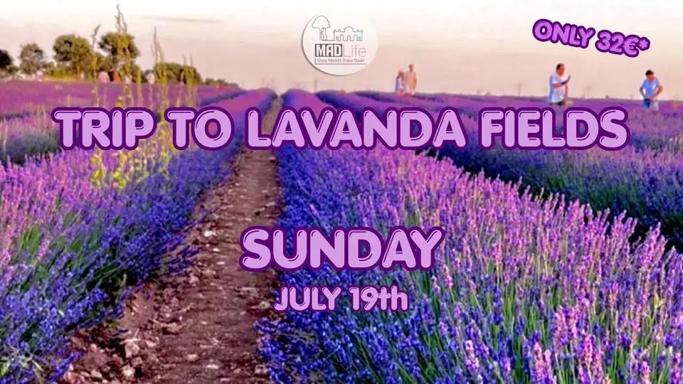 Trip to Lavanda Fields! JULY 19th