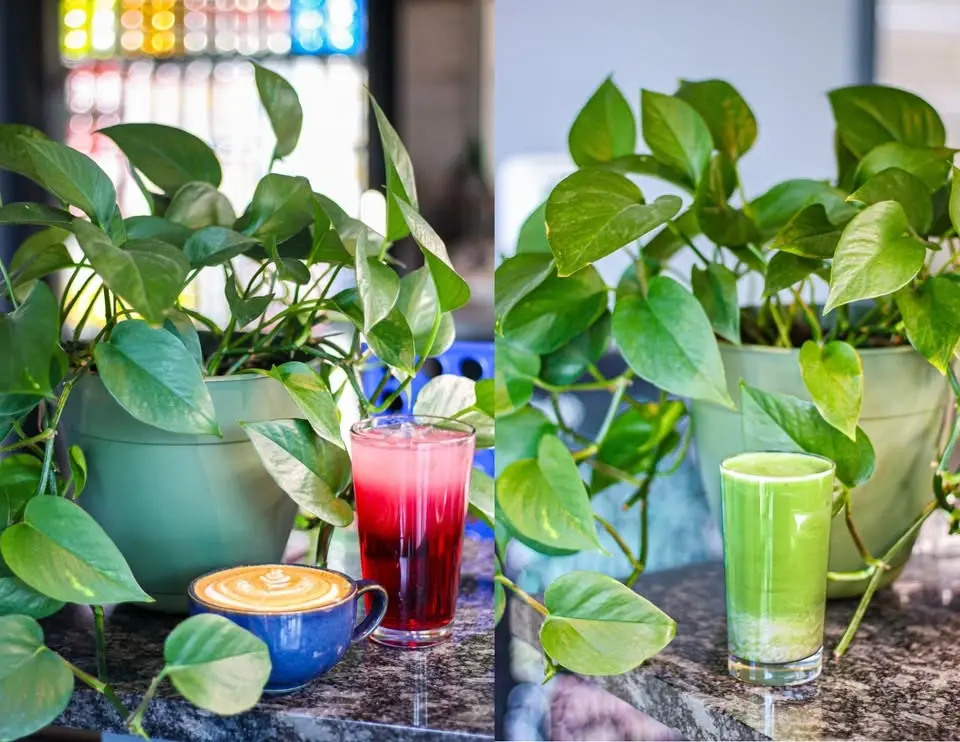 Oma’s Café + Wine Summer Menu