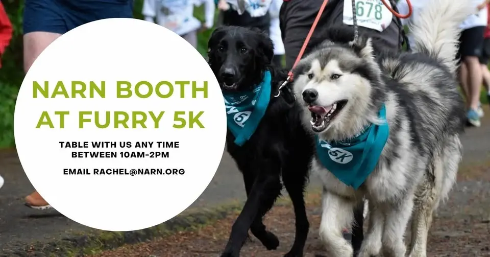 Table with NARN at Furry 5K