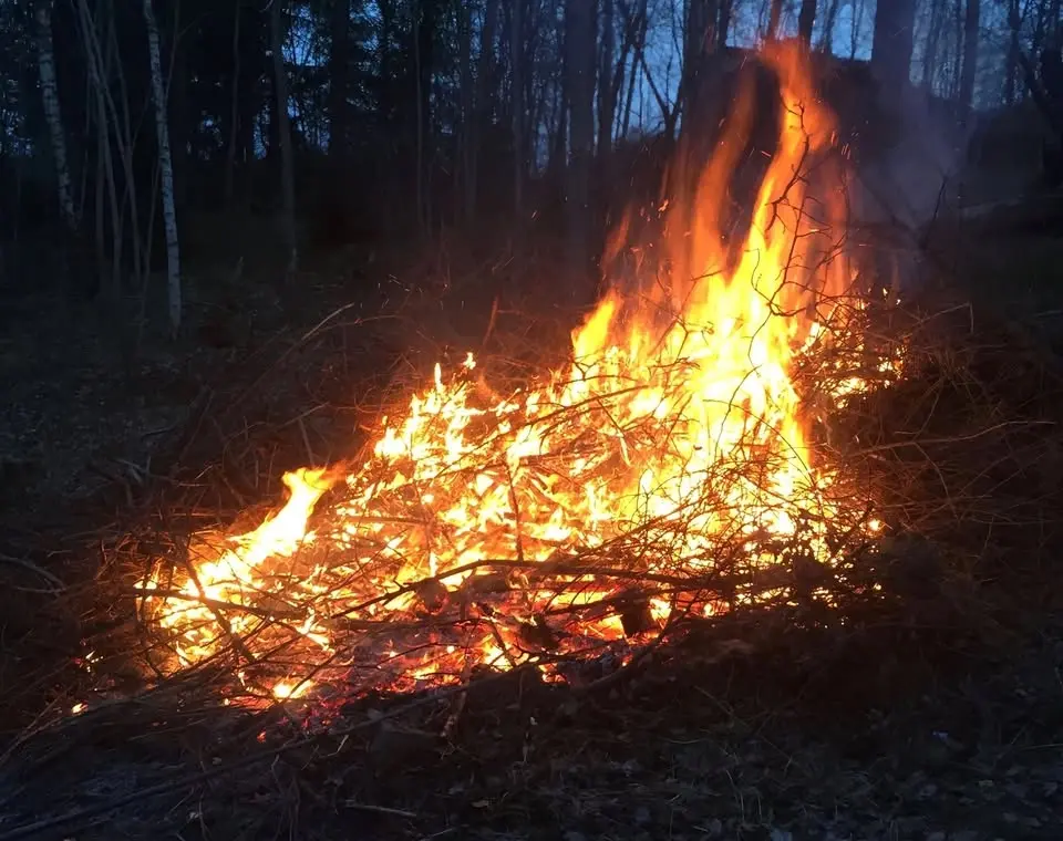 Valborgsfirande i Vega