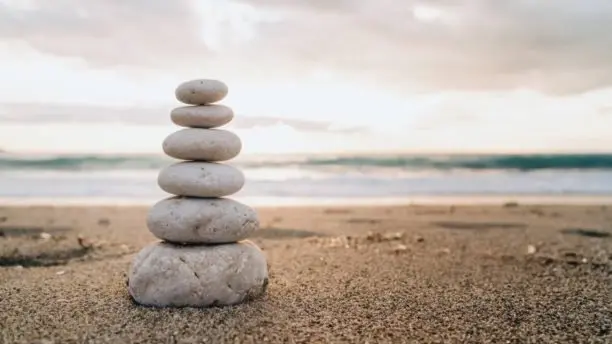 Mindfulness Open Day