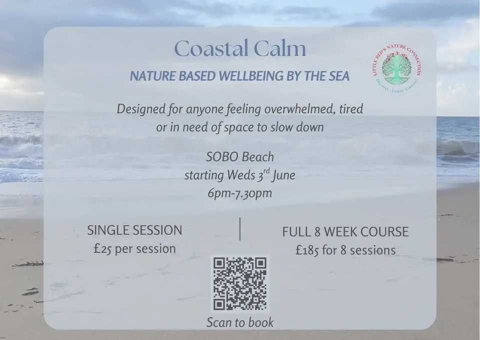 Coastal introduction to nature connection with Little Reds Nature Connection