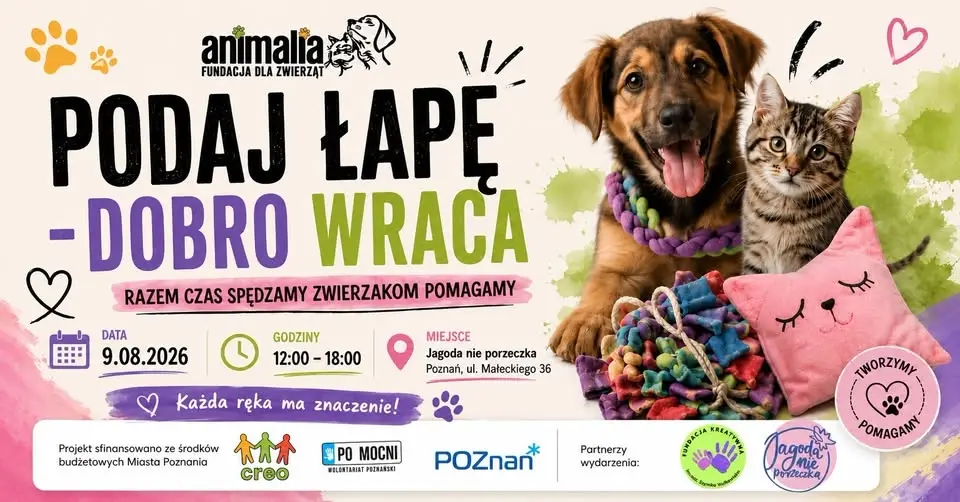 Podaj łapę - dobro wraca! Warsztaty rękodzielnicze z tworzenia zabawek dla zwierząt