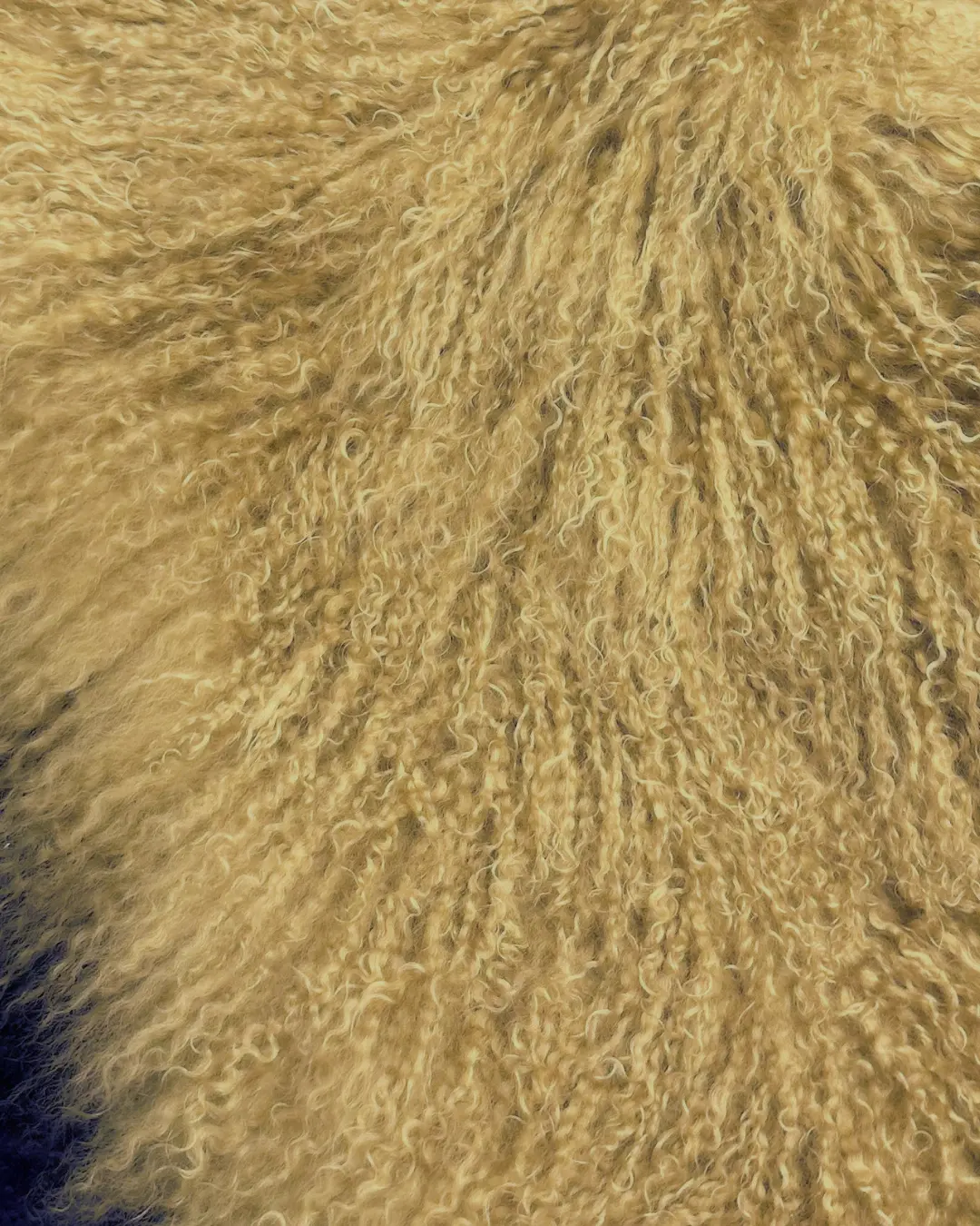 Jaqkodí x Fashion Law Edit: The Mongolian Fur Clutch Masterclass, July 25th