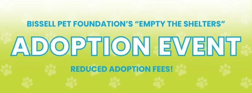 Cat & Kitten Adoption Event