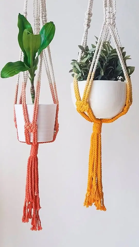Dip Dye Plant Hangers
