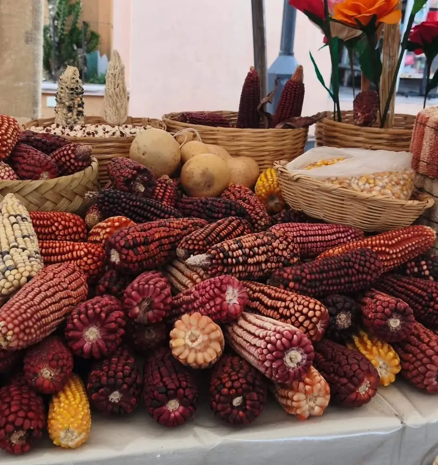 Festival del Maíz Tijuana