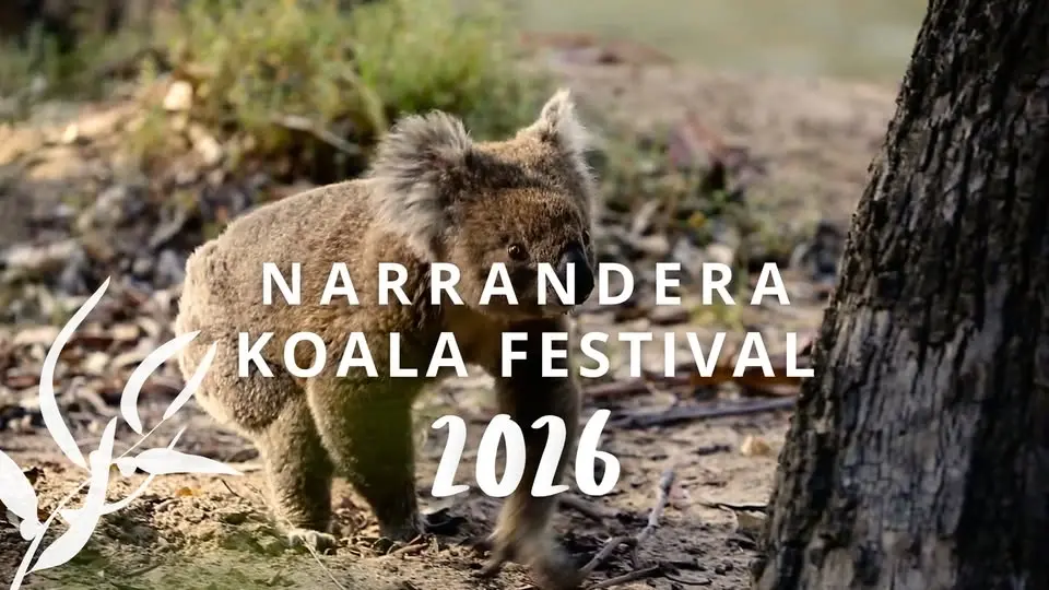 Koala Festival 2026