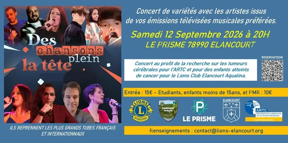DES CHANSONS PLEIN LA TETE