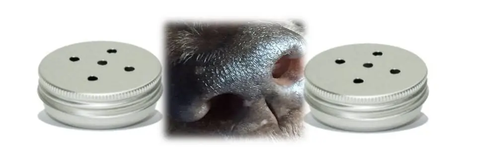 Nosework Grund/Nybörjarkurs DAGTID