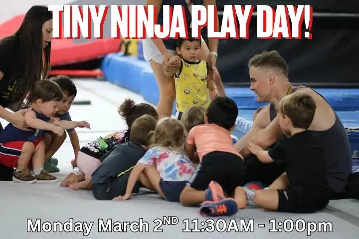Tiny Ninja Play Day! 
