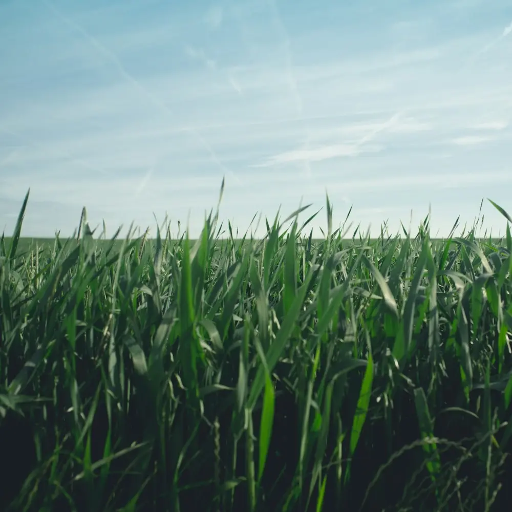 What does it take to launch a nonprofit reshaping Europe's food policy? · The story of The Protein Project
