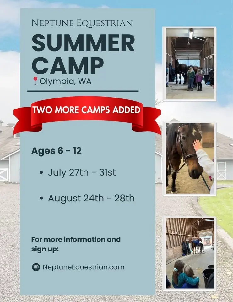 ☀️New Summer Camps!☀️