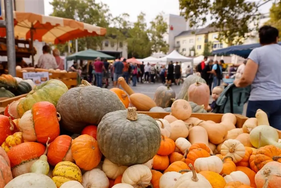 Bauernmarkt