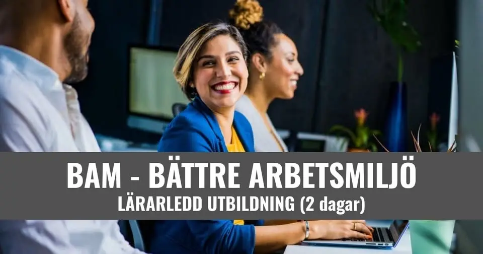 BAM - Bättre Arbetsmiljö - Örebro - 8 900 SEK/ pers.