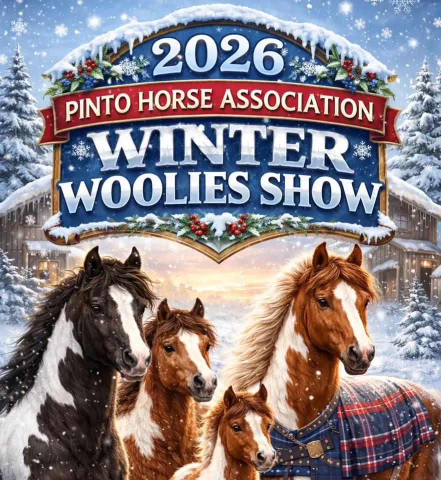 The Pinto Horse Association of NSW Winter Woolies 2026