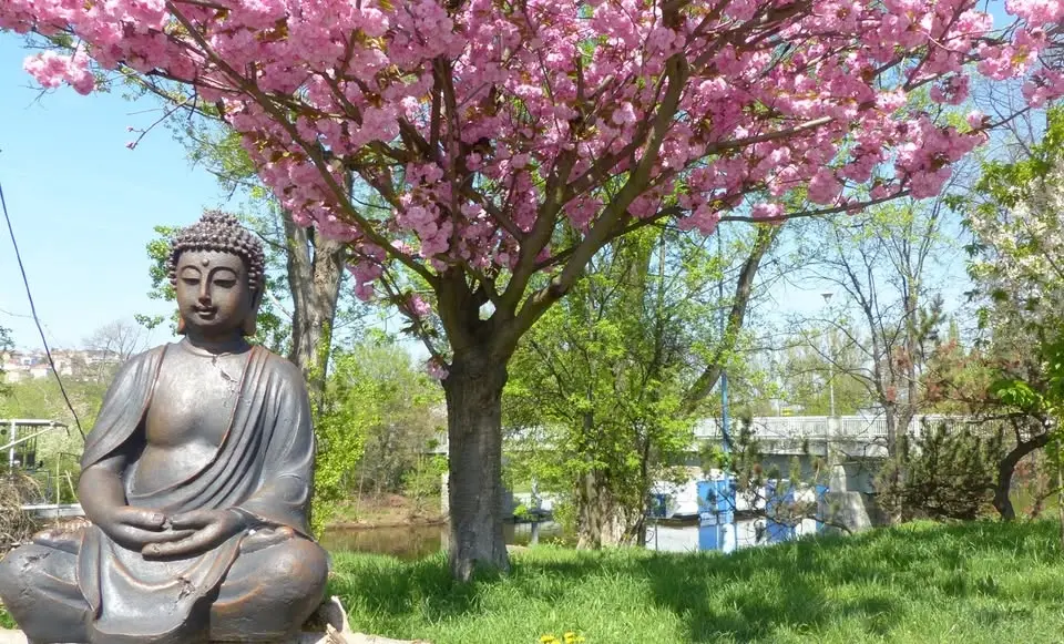 Kurz meditace Vipassana ve Žlutých lázních