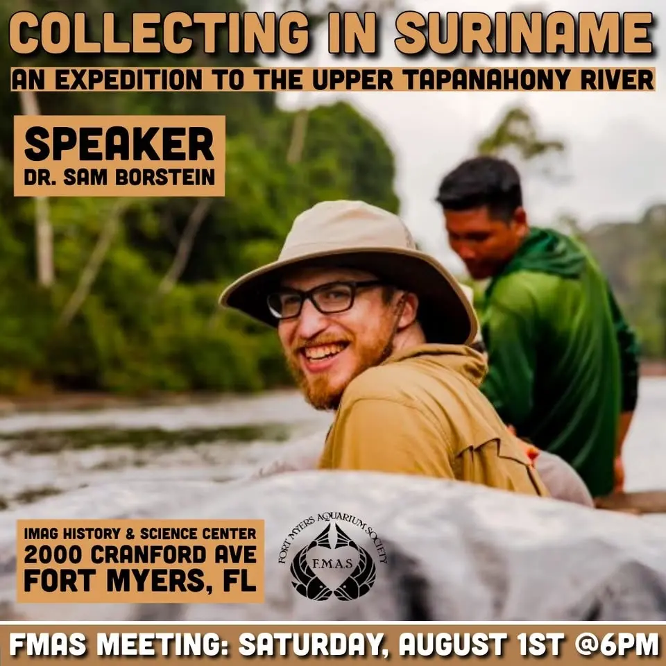 FMAS August Meeting: Collecting in Suriname