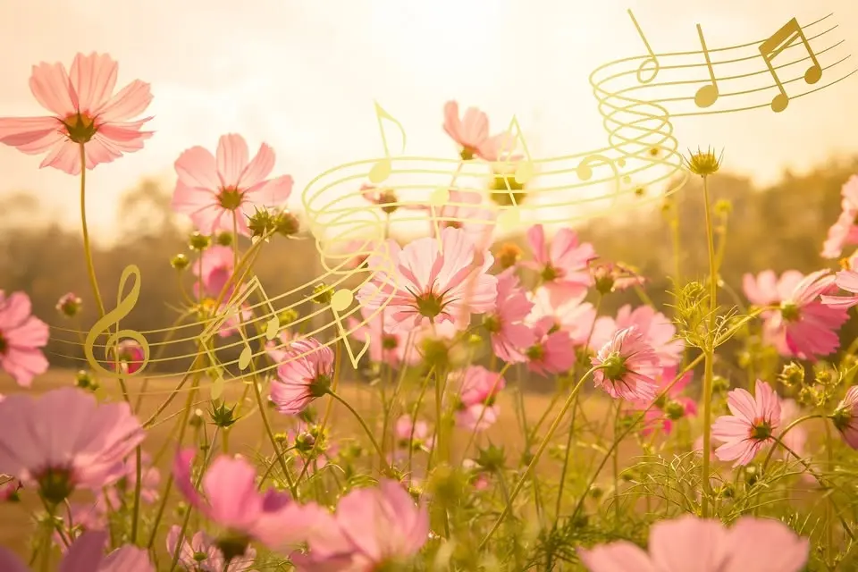 Sommarmusik