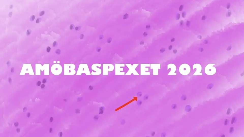 Amöbaspexet 2026