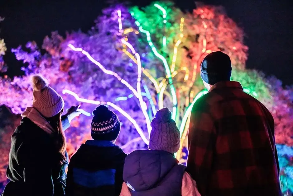 RHS Glow 2026 26 Nov - 30 Dec