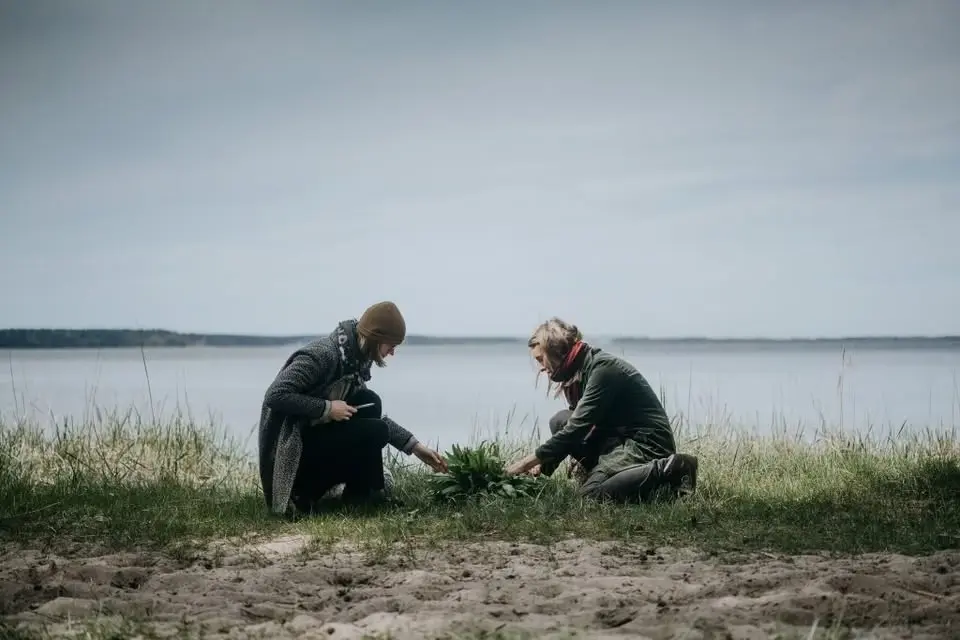 THE FORAGER’S WALK WITH WILD PICNIC
