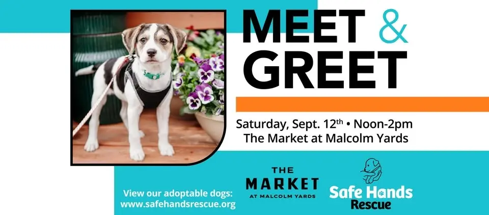 Safe Hands Rescue Meet & Greet at The Market at Malcolm Yards
