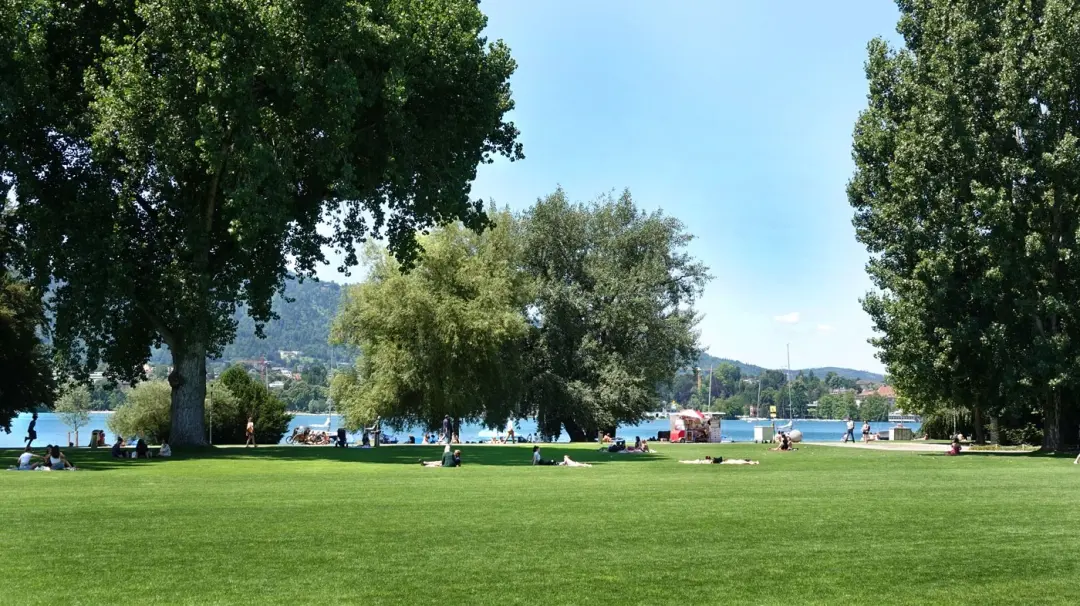 Singkreis im Grünen 🌱☀️🎶