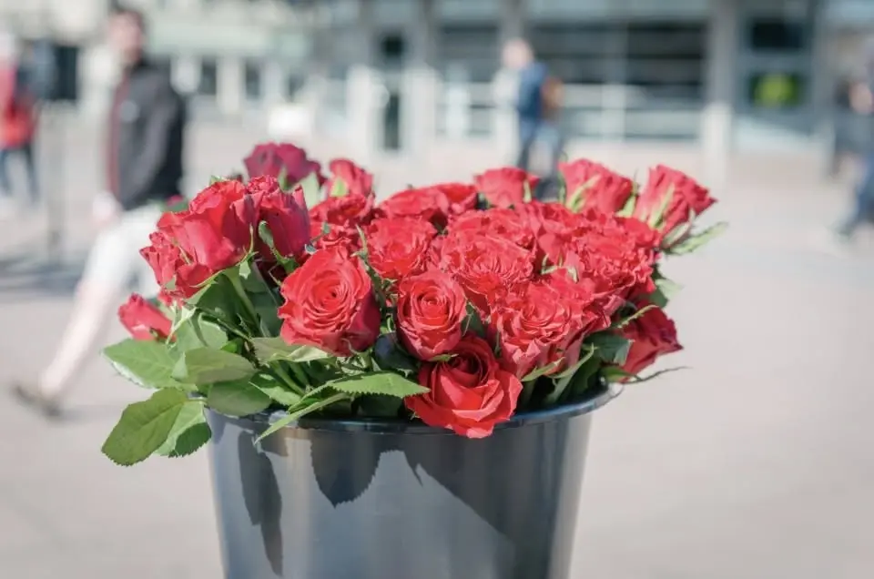 Sommarmarknad