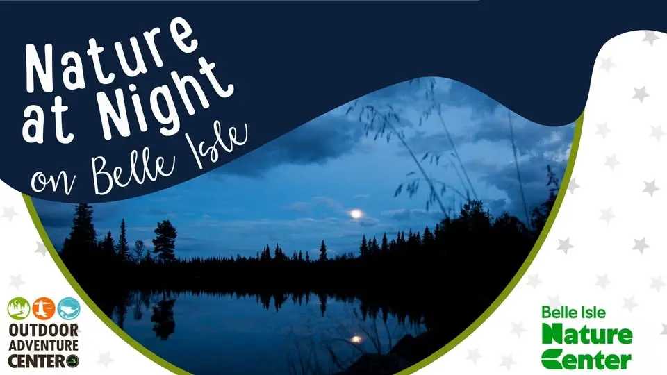 Nature at Night: Nighttime Animals
