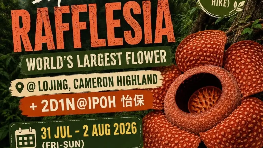 ✅Rafflesia - World’s Largest Flower Leisure Hike@LOJING  + 2D1N @ IPOH 