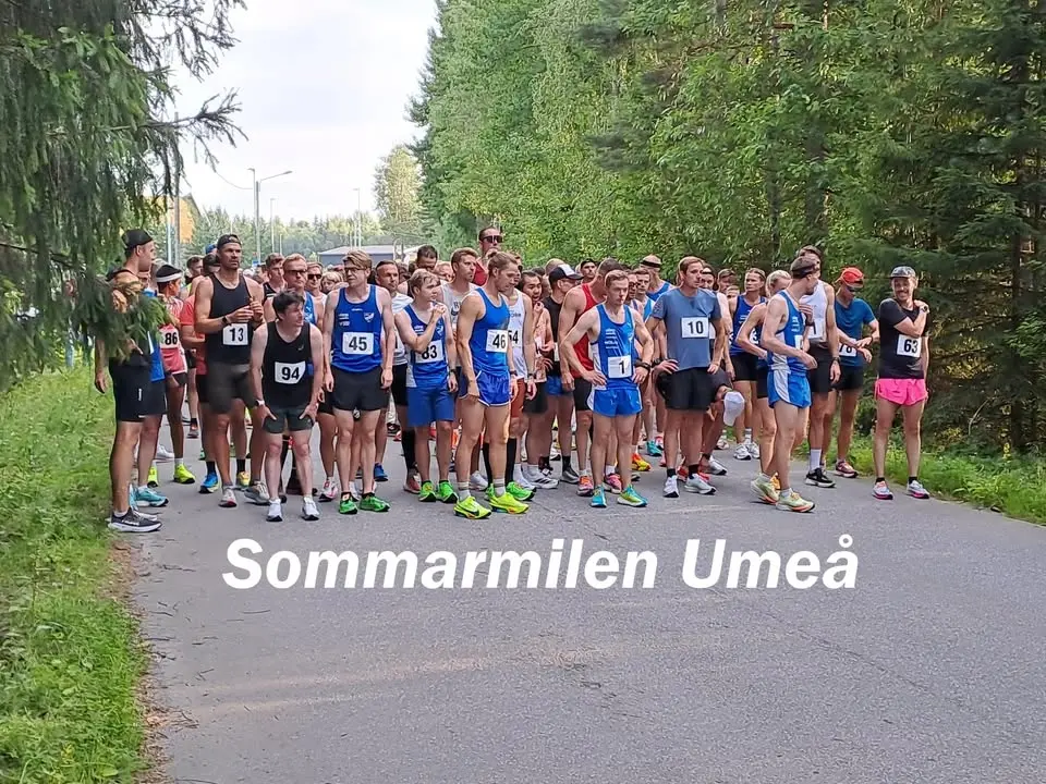 Sommarmilen