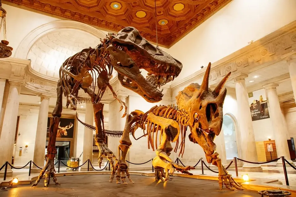 Juneteenth | Free Admission Day at the Natural History Museums of Los Angeles County