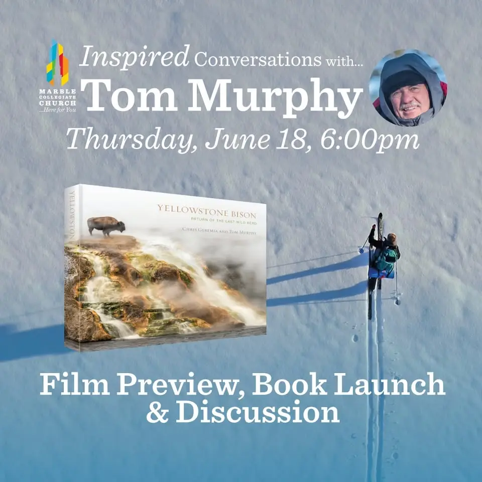 Inspired: Conversations With... Tom Murphy