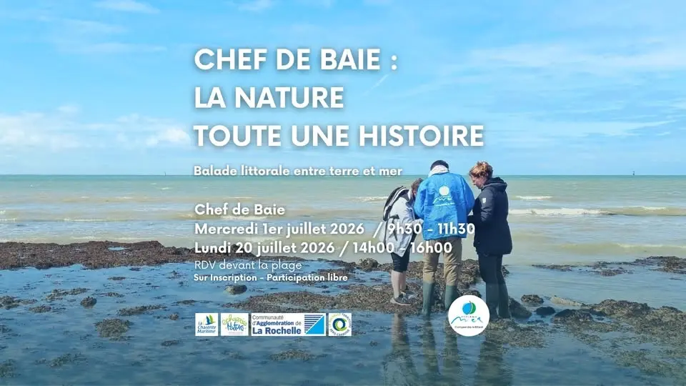 Sortie Nature : Chef de Baie, balade littorale