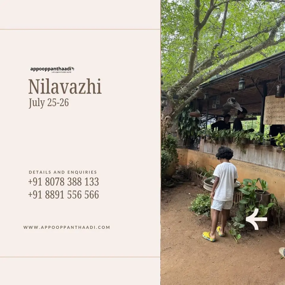 Nilavazhi