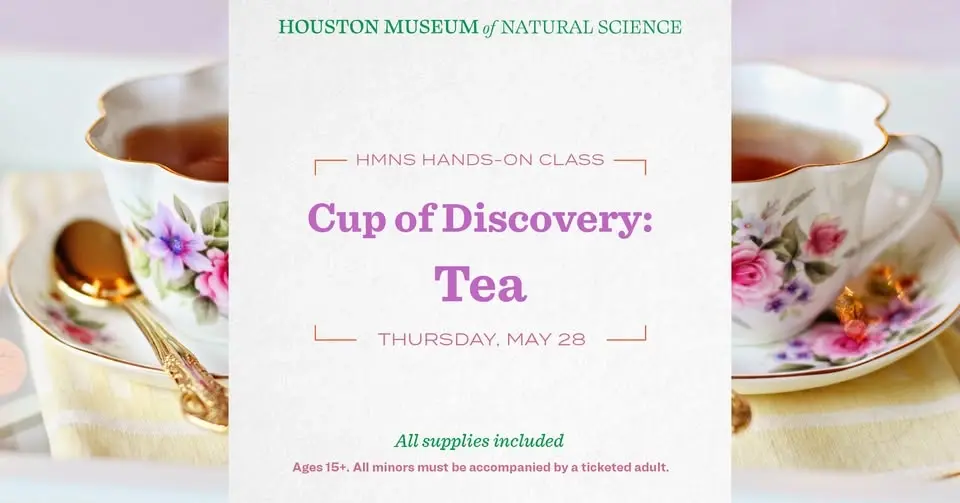 Cup of Discovery: Tea