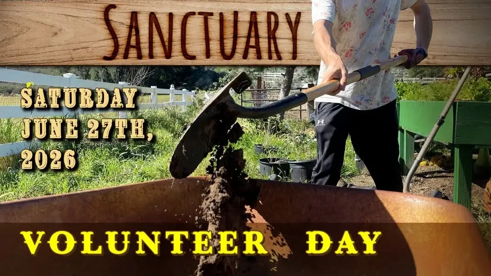 June Volunteer Day