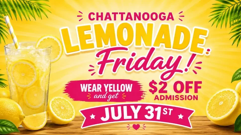LEMONADE FRIDAY @ PLAYPALZ