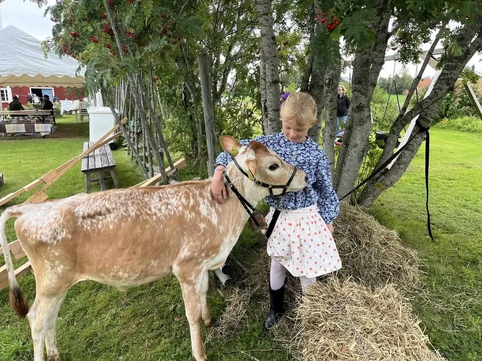Traktordag och gammaldags aktivitetsdag