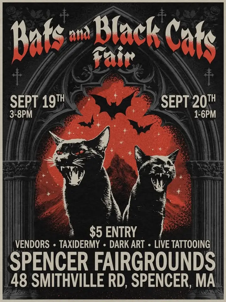 Bats and Black Cats Fair 2026