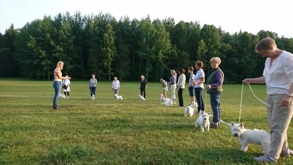 RIngträning med Östwestie tisdagen den 23/6!