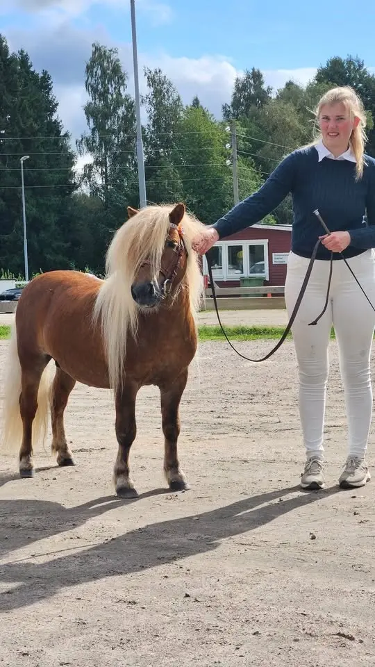 Sommarutställning för alla raser.