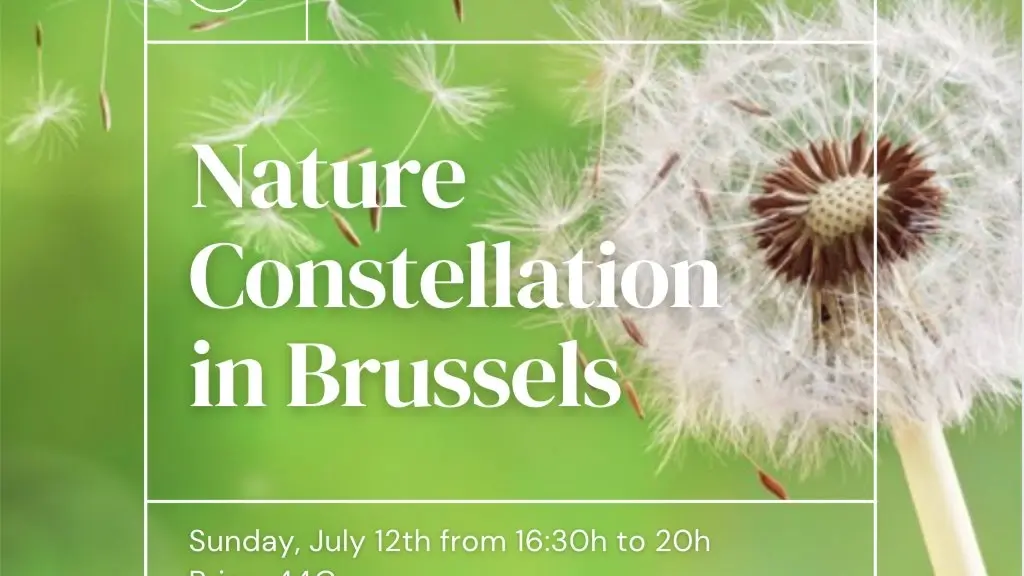 Nature Constellation in Brussels