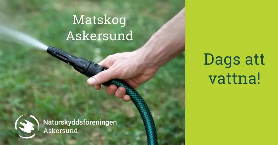 Matskog Askersund